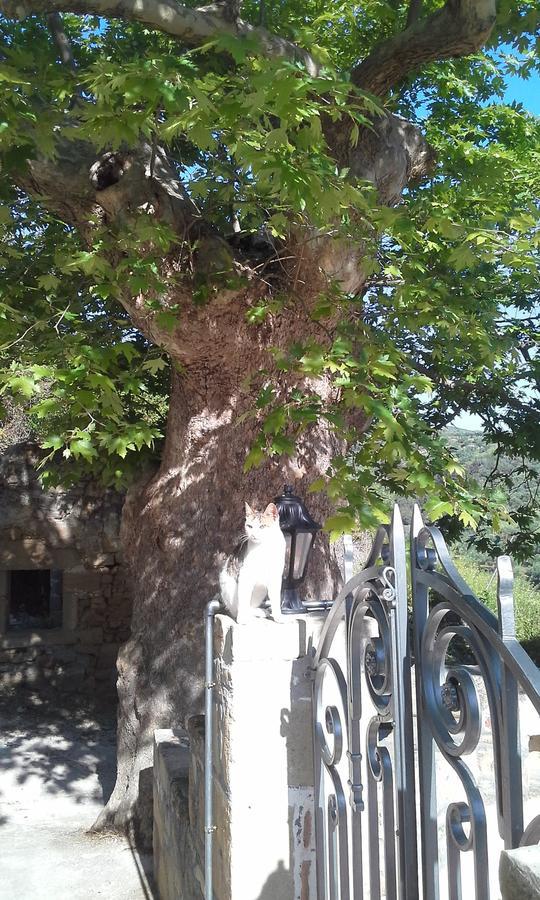 Traditional House Koukounara Kissamos Exterior photo